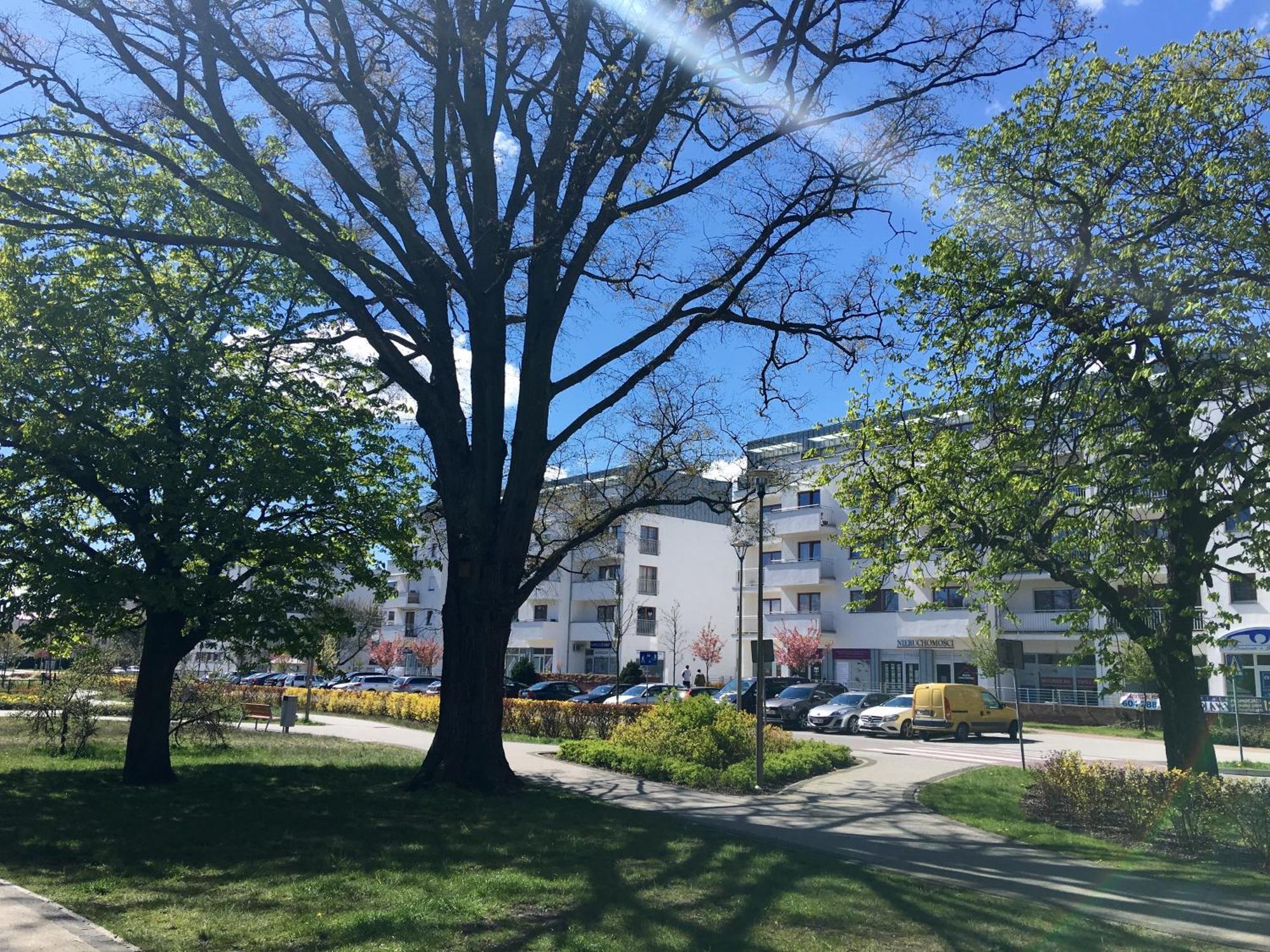 Świnoujście Apartamenty Platan - Visitopl מראה חיצוני תמונה